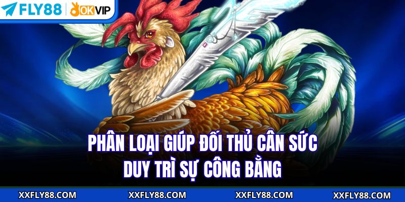 Phân loại giúp đối thủ cân sức, duy trì sự công bằng.
